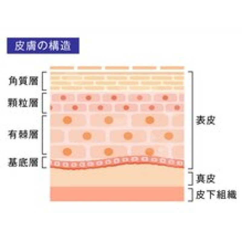 肌質改善